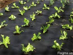 Агроволокно 50г для  мульчирования 1,6х5м  в пакете черное